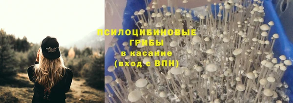 сатива Нефтекумск