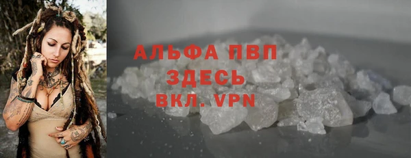сатива Нефтекумск