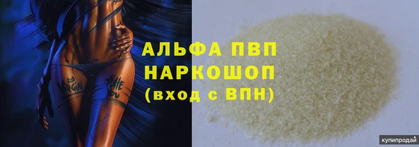 сатива Нефтекумск
