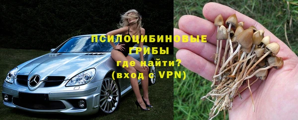 сатива Нефтекумск