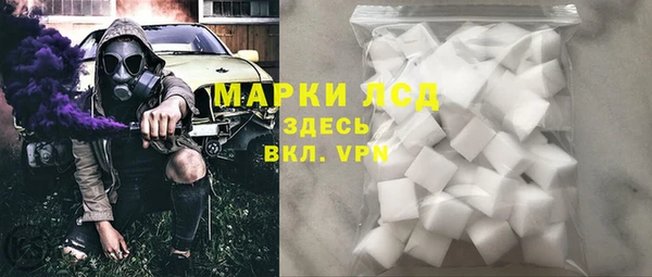 хмурый Белая Холуница