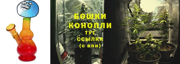 молекула духа Нефтегорск