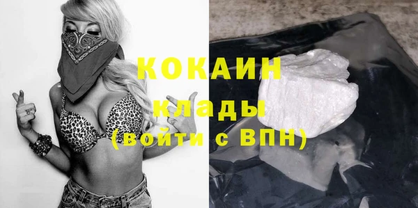сатива Нефтекумск
