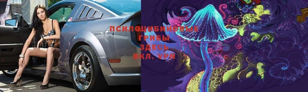 сатива Нефтекумск