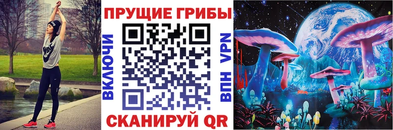 kraken ССЫЛКА  Туапсе  Галлюциногенные грибы Psilocybine cubensis  магазин продажи  